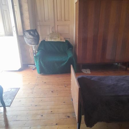 Levani'S Guesthouse Zugdidi Bagian luar foto